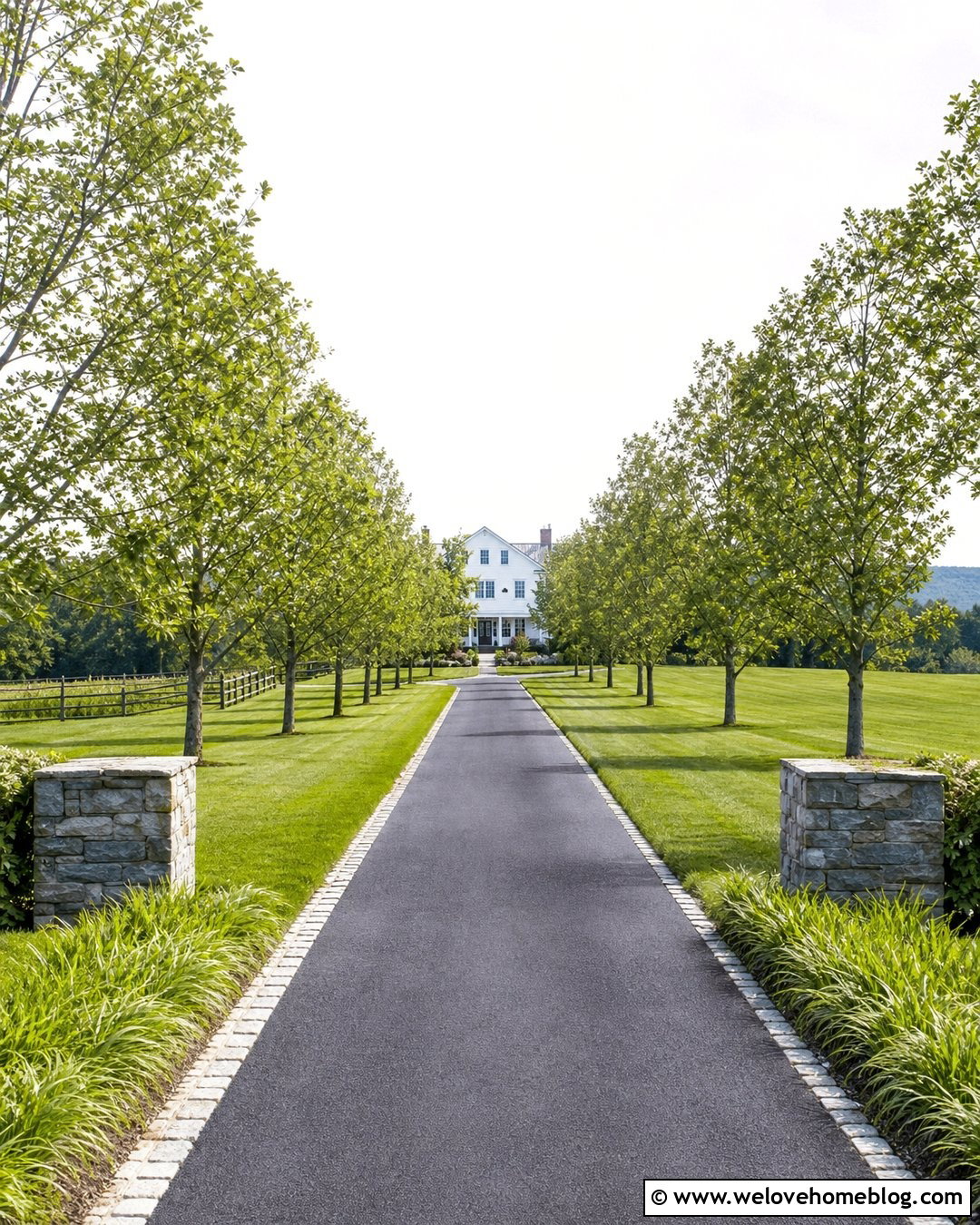 Asphalt Driveway With Tree Lined Entrance - 40 Asphalt Driveway Ideas