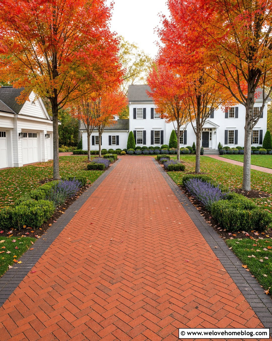 Autumn Blaze Maple Paver Driveway - 20 Fast Growing Driveway Trees Ideas