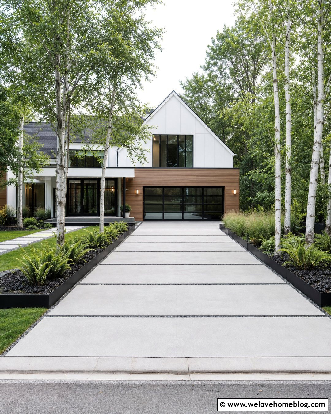 Birch Tree Lined Concrete Driveway - 40 Tree Lined Driveway Ideas