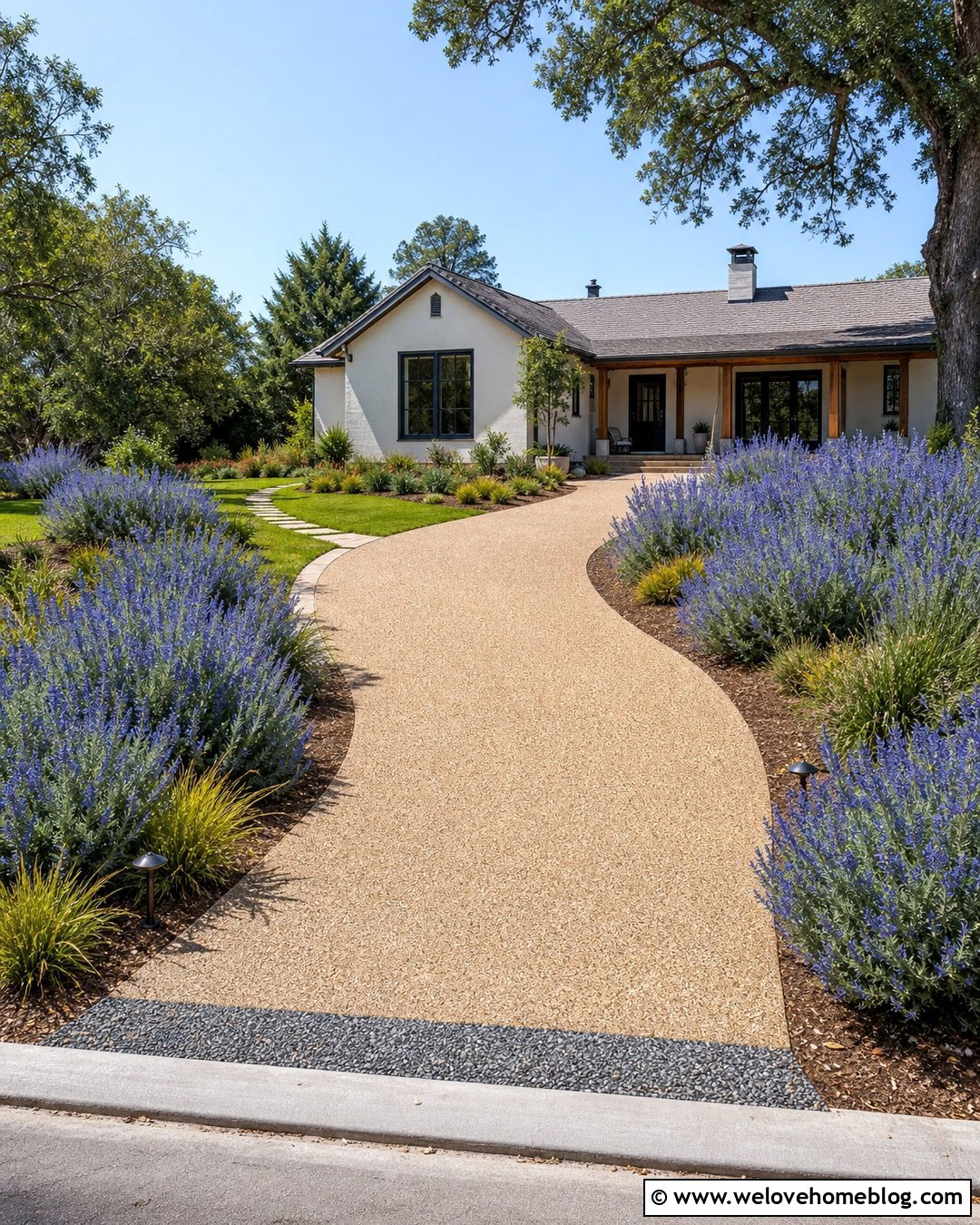 Bluebeard Along a Sunny Driveway - 20 shrubs to line driveway ideas
