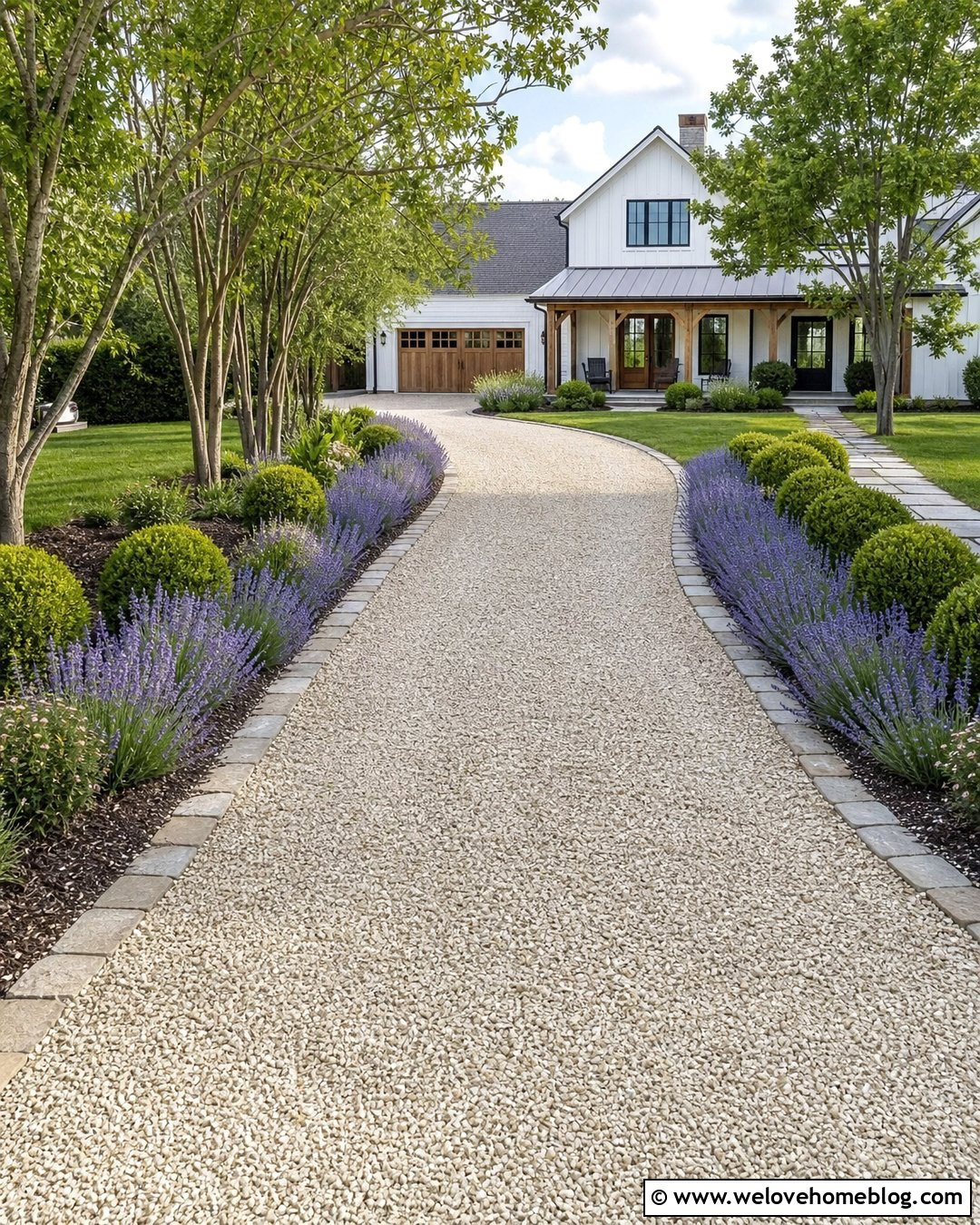 Boxwood And Lavender Gravel Driveway - 20 boxwood driveway ideas