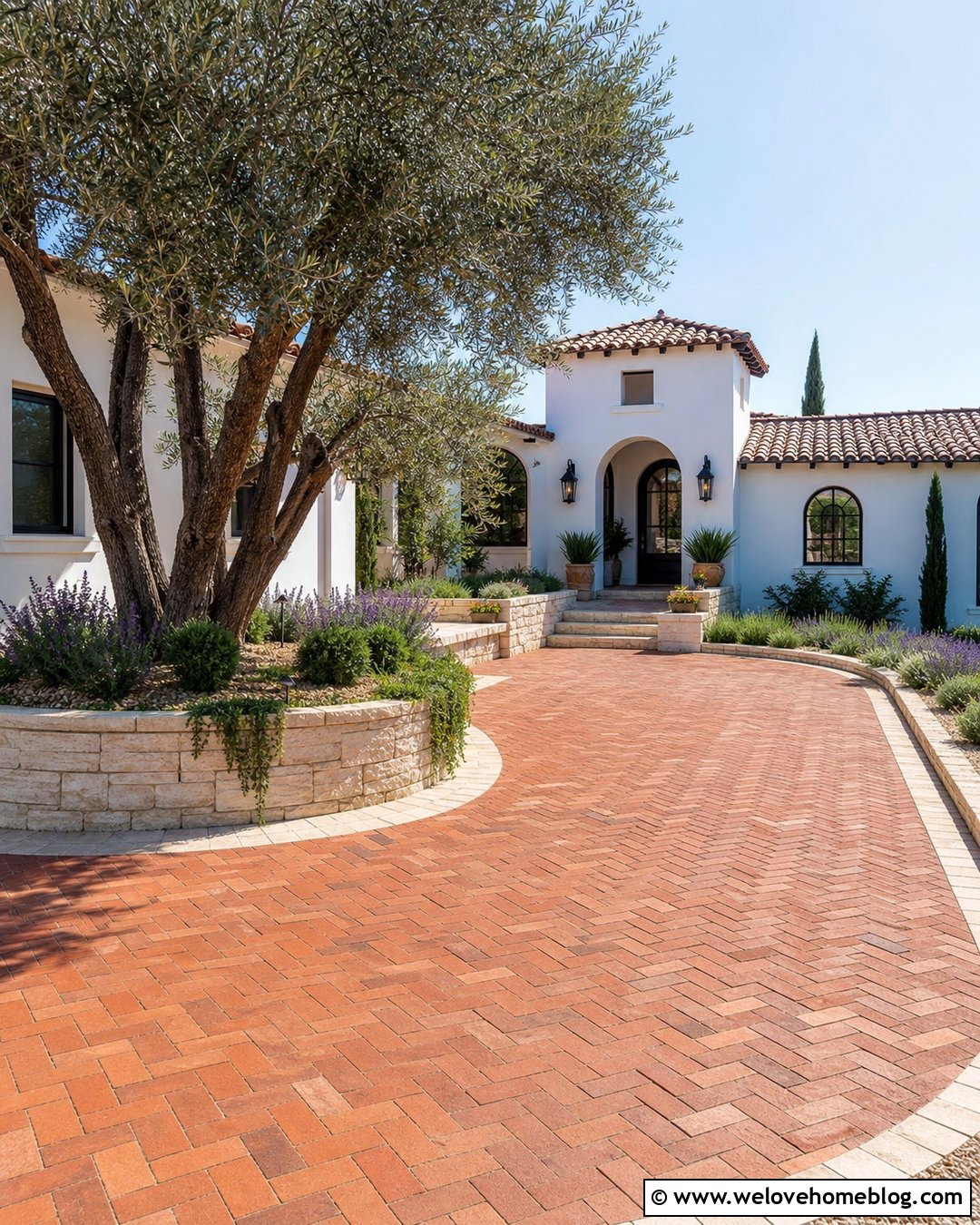 Brick Driveway With Olive Tree Courtyard - 20 Olive Trees Driveway Ideas