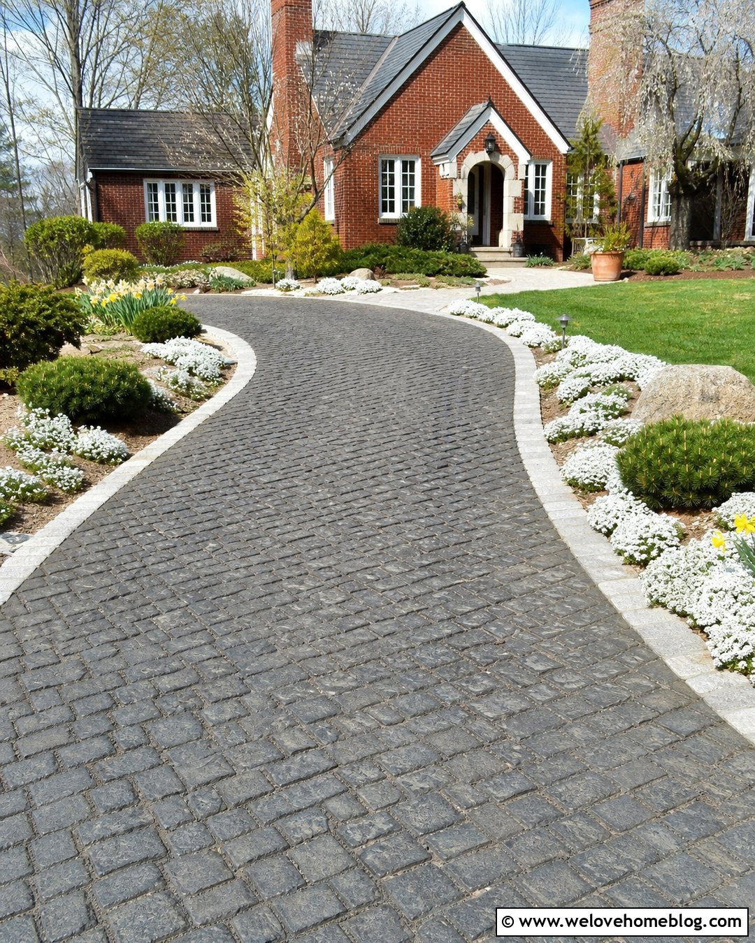 Candytuft Driveway Edging - 20 driveway edging plants ideas