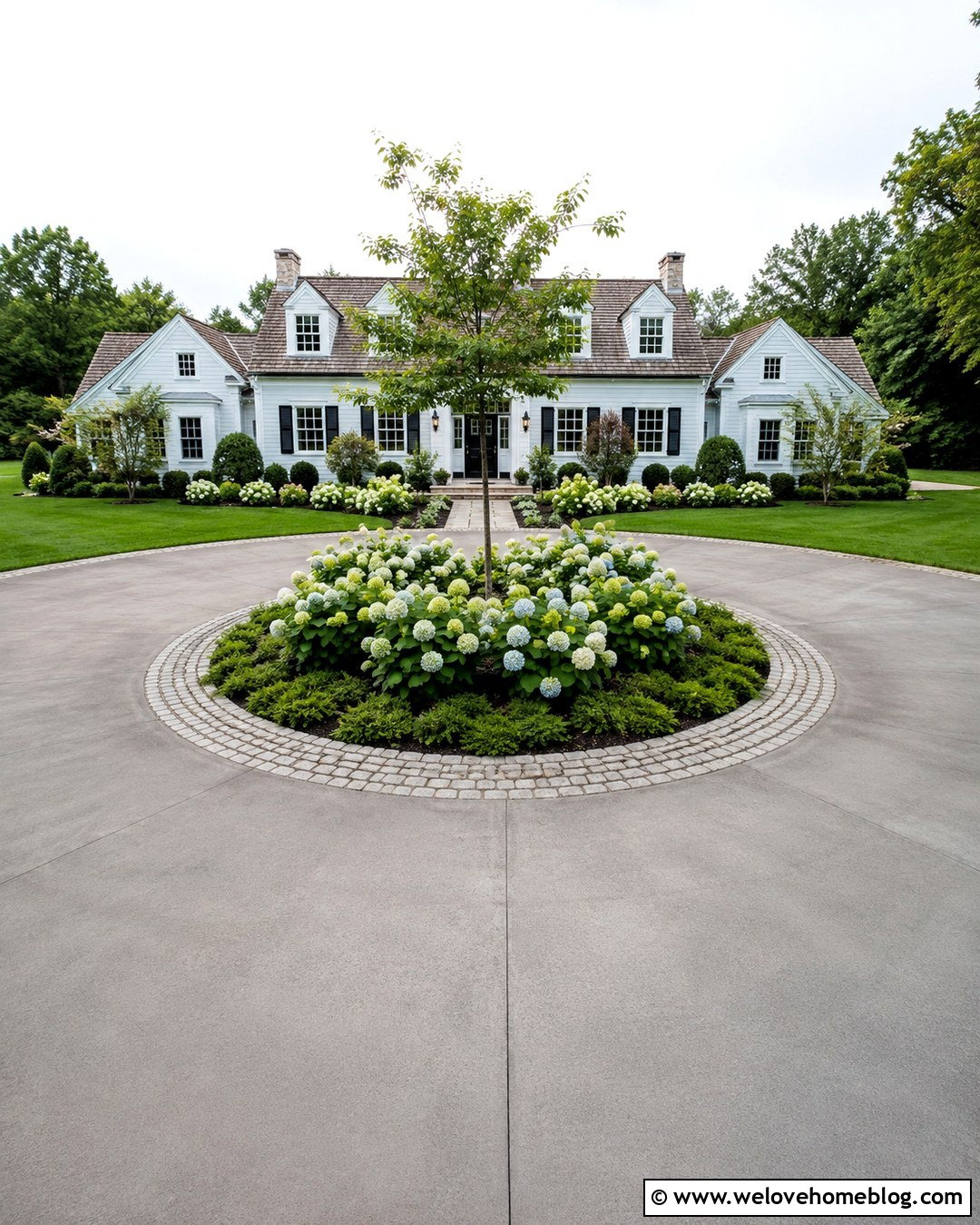 Circular Driveway Strip With Hydrangeas