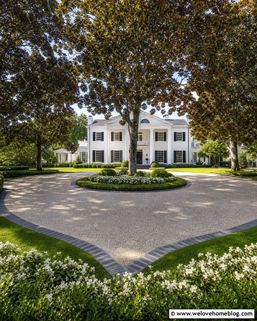 Circular Driveway With Magnolia Trees - 25 driveway trees lined ideas