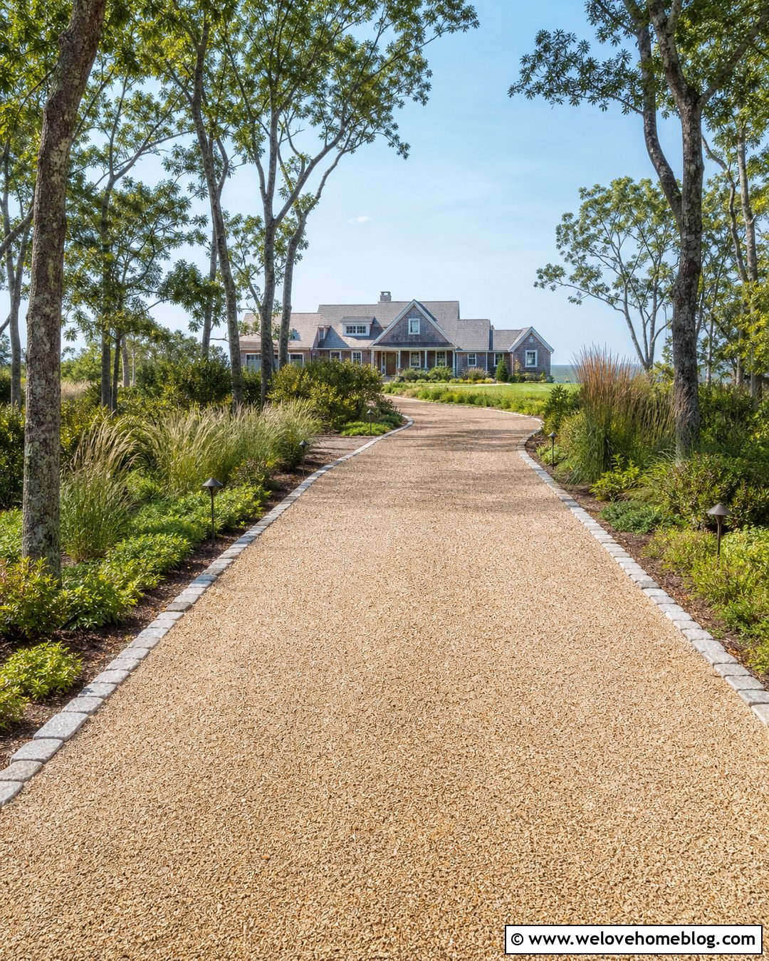 Coastal Long Driveway With Native Trees - 20 Coastal Driveway Landscaping Ideas