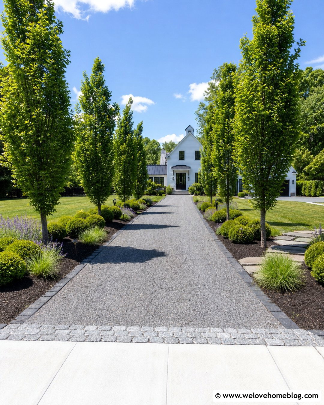 Columnar Hornbeam Gravel Driveway - 20 trees to line driveway front yards ideas