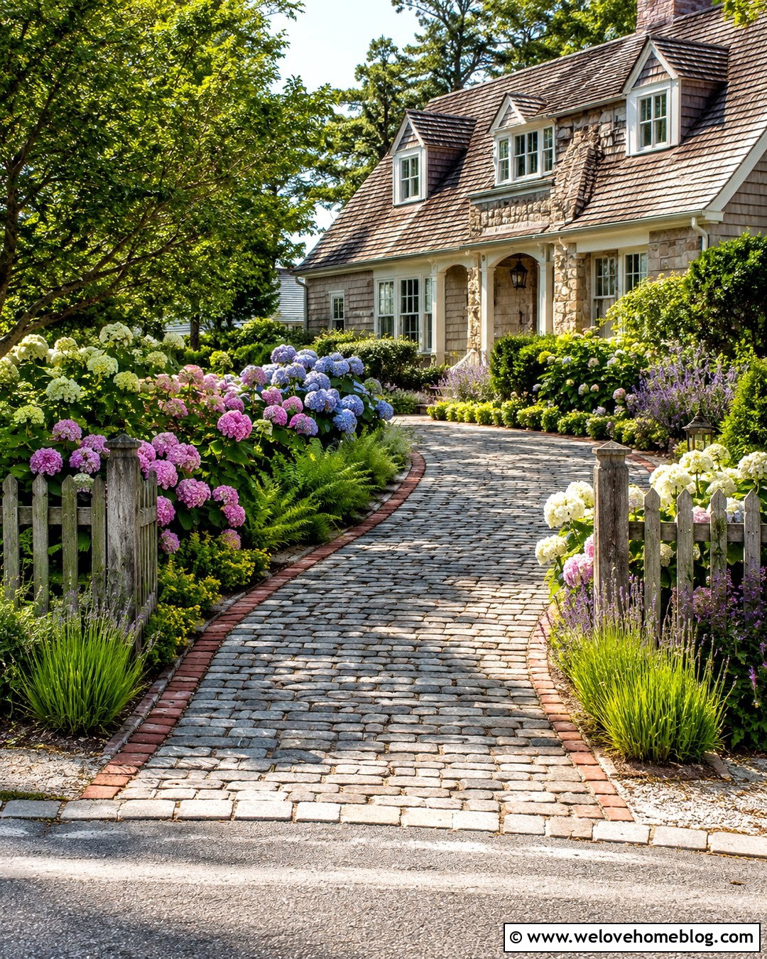 Cottage Driveway With Mixed Hydrangeas - 20 Driveway Lined With Hydrangeas Ideas