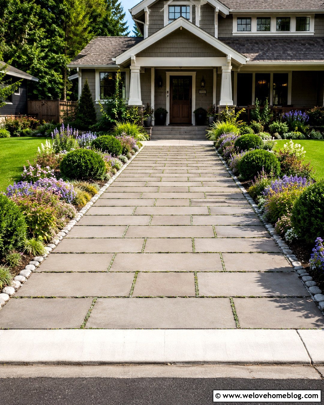 Creeping Thyme Driveway Ground Cover - 20 Driveway Ground Cover Ideas