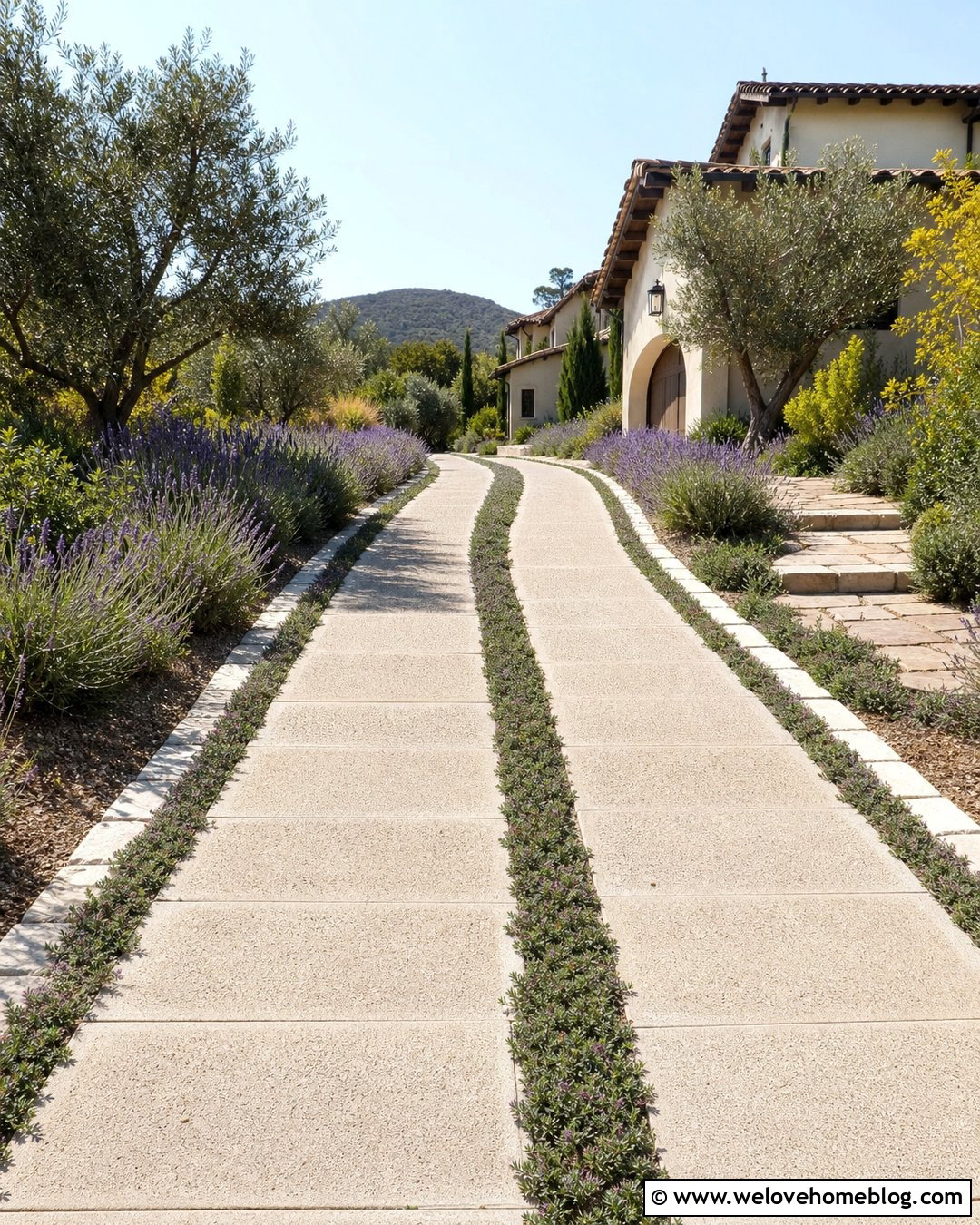 Creeping Thyme Green Driveway - 25 Green Driveway Ideas