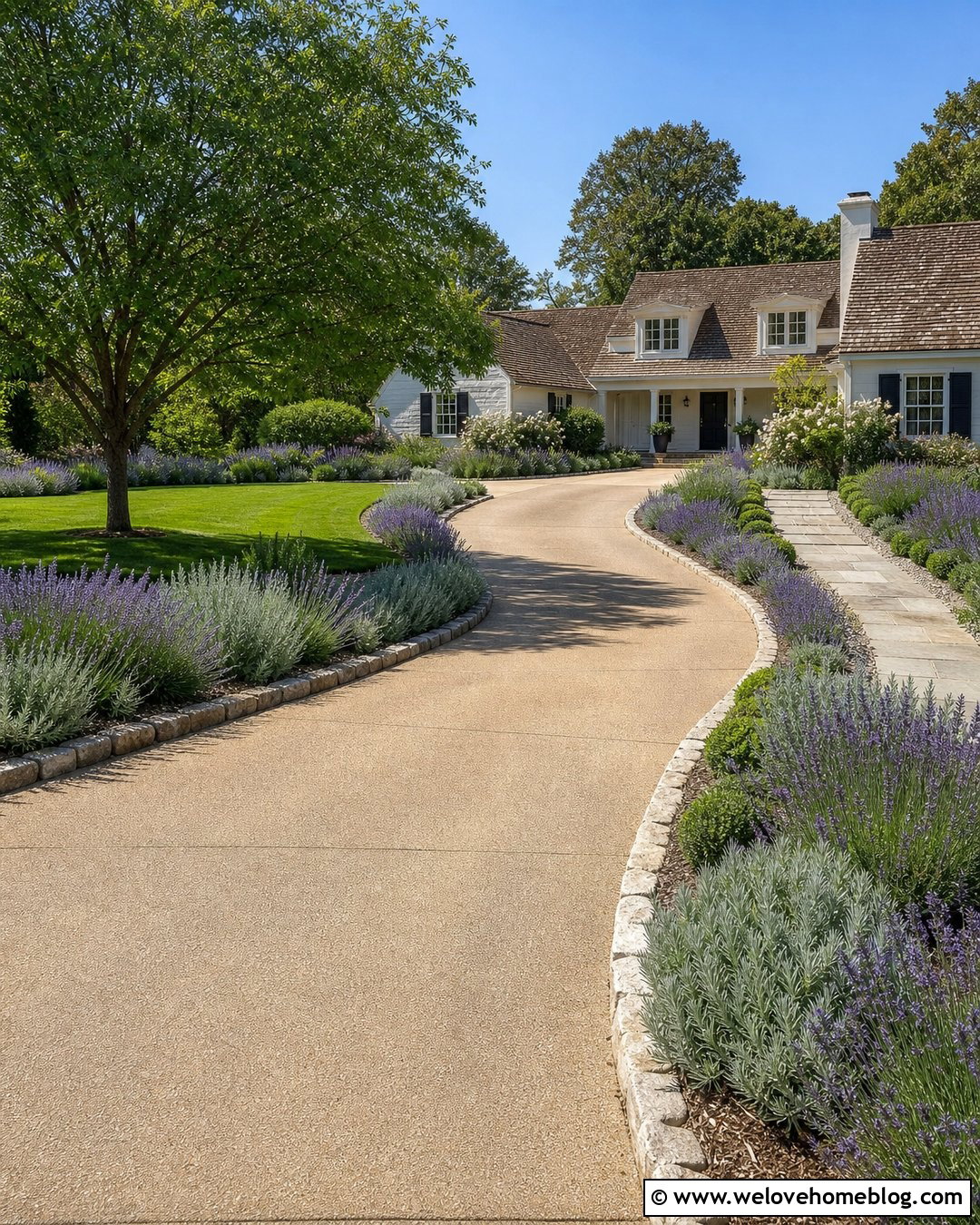 Curved Cement Driveway With Lavender Borders - 35 Cement Driveway Ideas