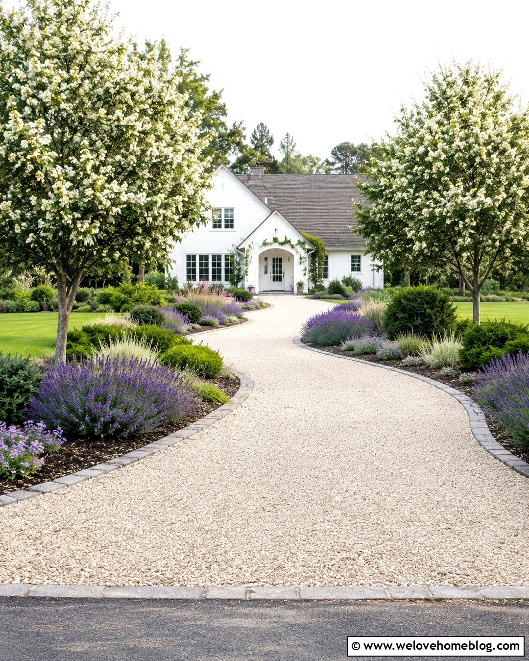 Curved Gravel Driveway With Lavender Borders - 20 Creative Driveway Landscaping Tips Ideas