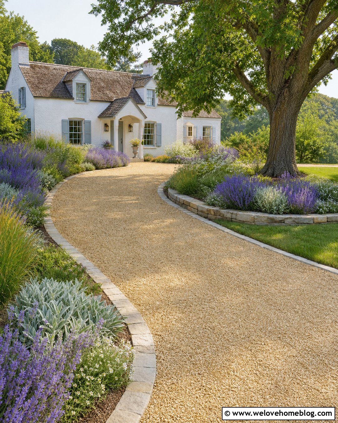 Curved Yellow Gravel Driveway With Lavender - 20 Yellow Gravel Driveway Ideas