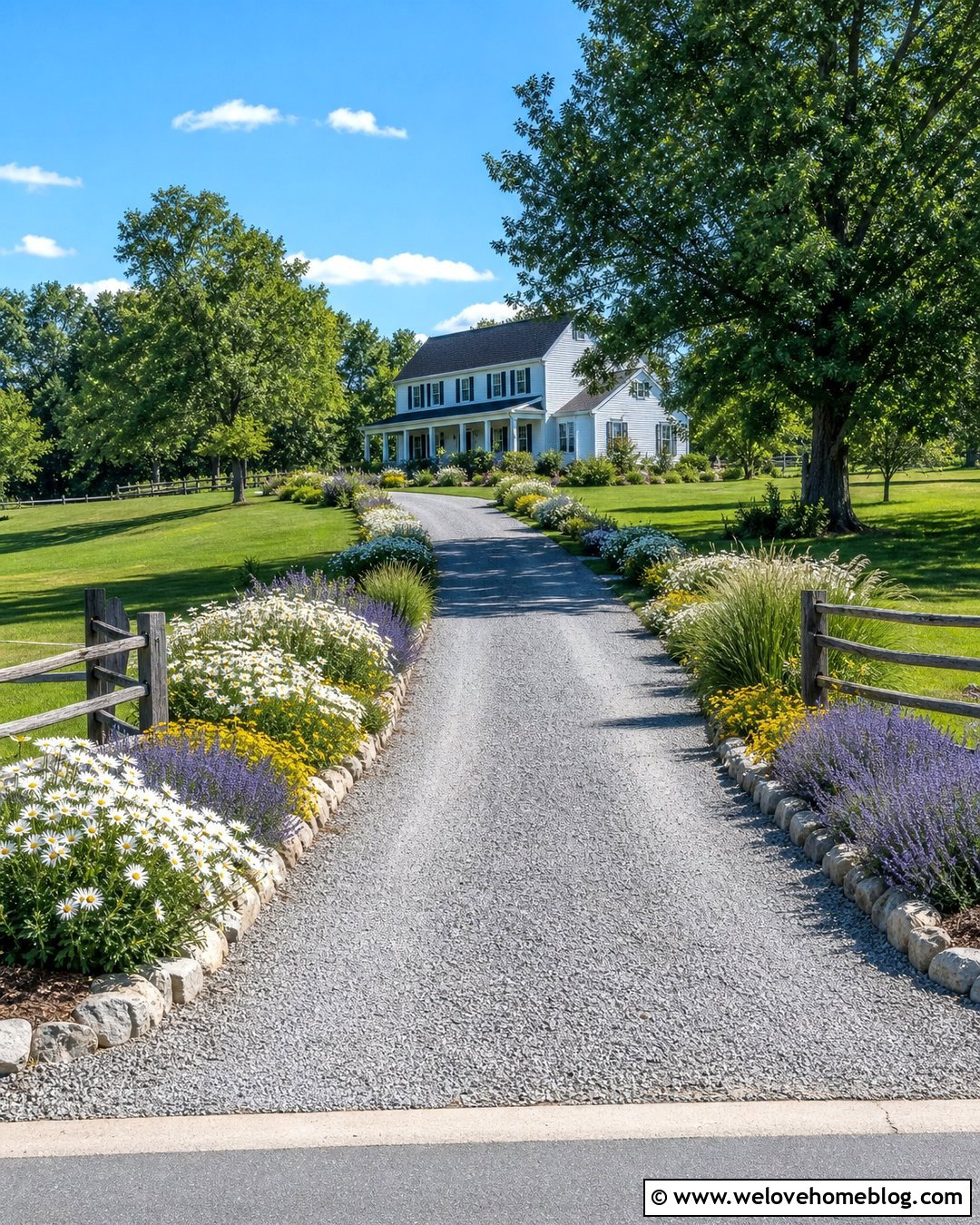 Daisy Lined Country Driveway - 25 flower lined driveway ideas