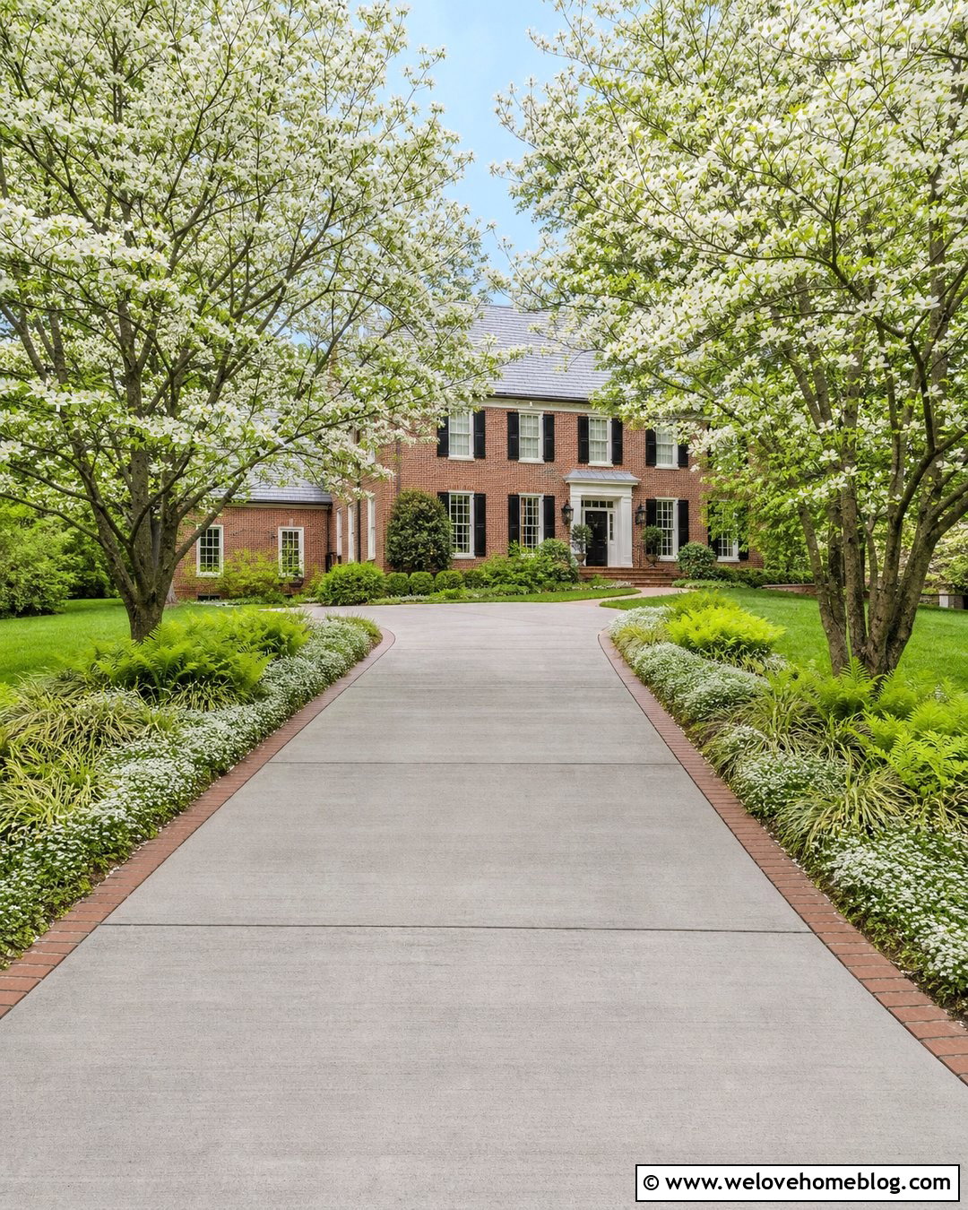 Dogwood Trees Along A Concrete Driveway - 30 driveway trees ideas