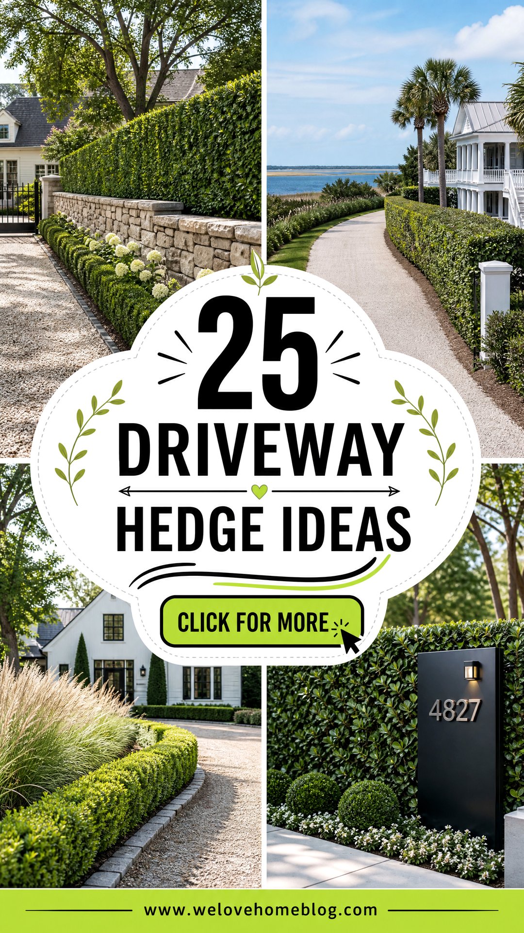 25 Driveway Hedge Ideas for Privacy and Polished Curb Appeal - 25 Driveway Hedge Ideas for Privacy and Polished Curb Appeal