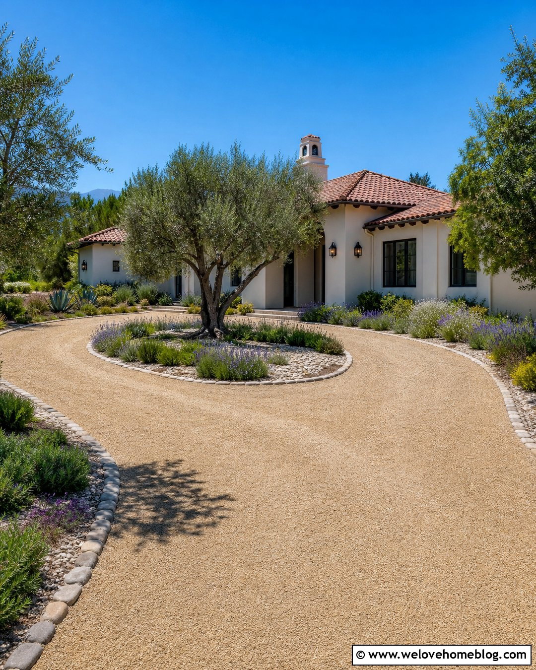 Driveway Island With Lavender And Olive Tree - 25 Driveway Island Landscaping Ideas