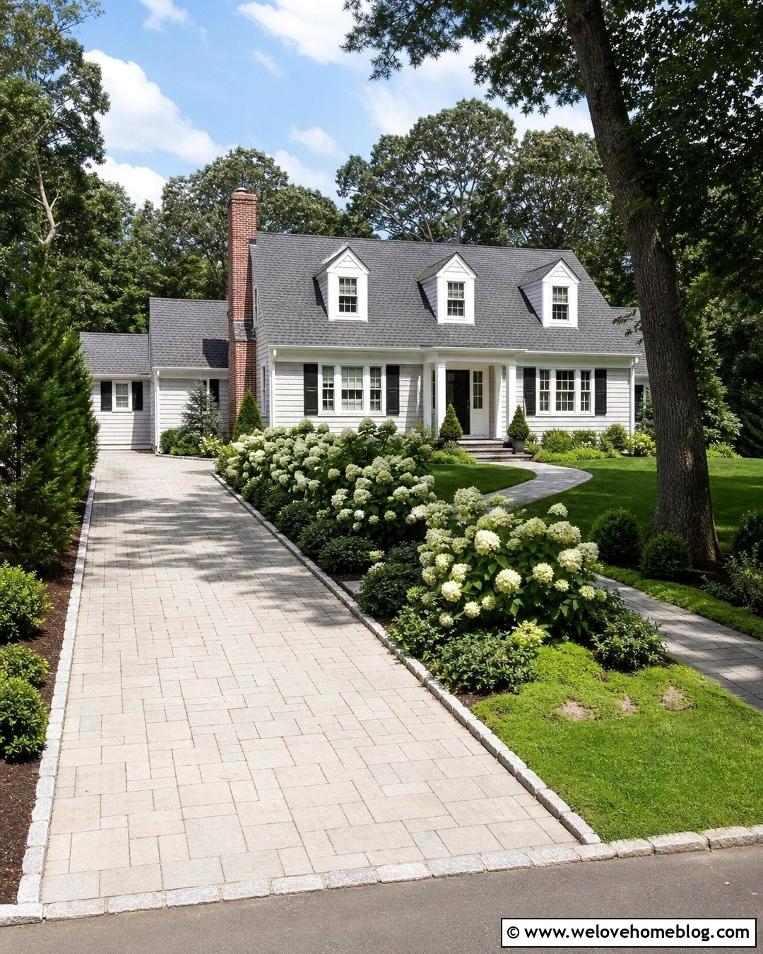 Driveway With Hydrangea Front Garden - 40 driveway front garden ideas