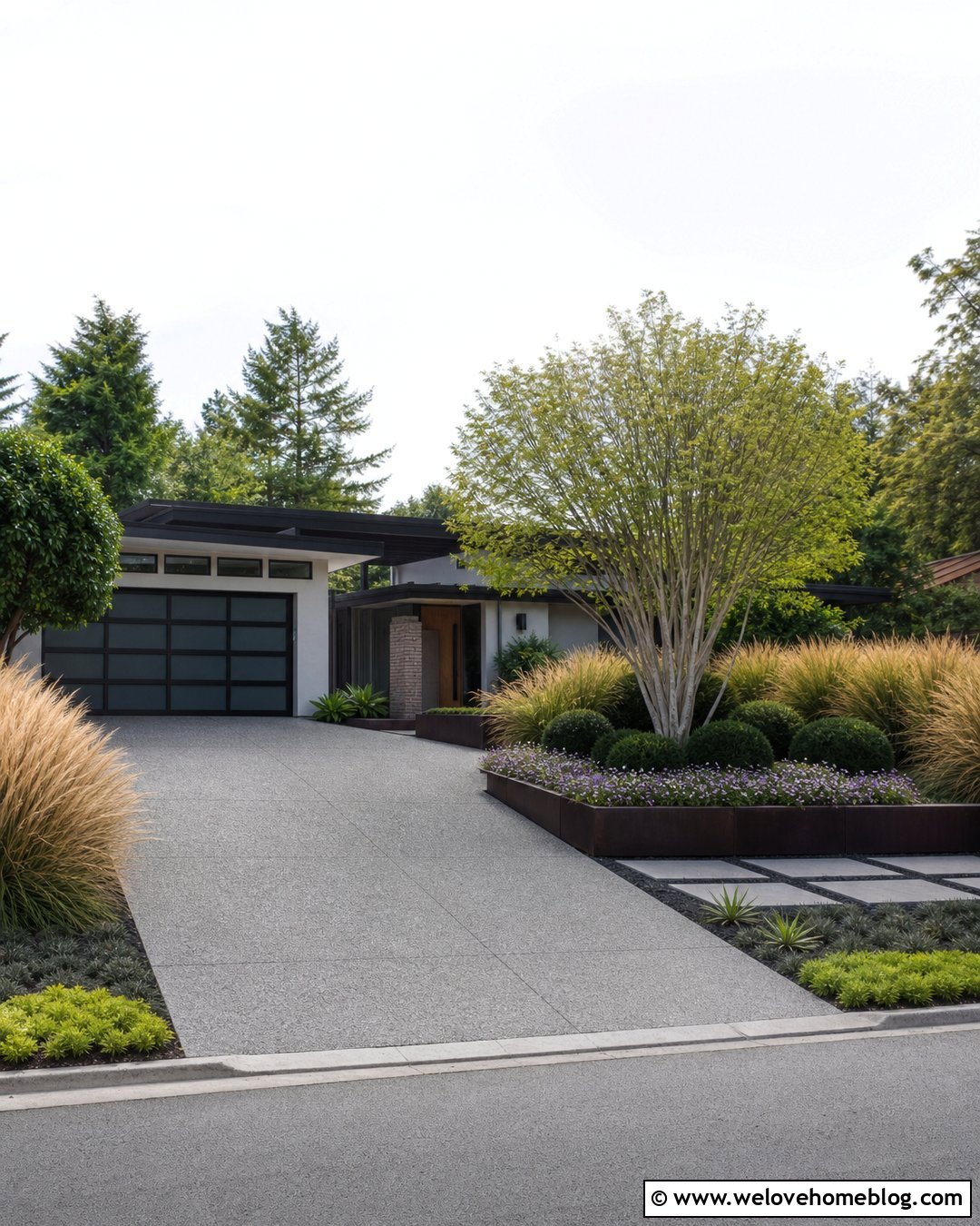 Driveway With Ornamental Grass Borders - 40 Front Driveway Landscaping Ideas