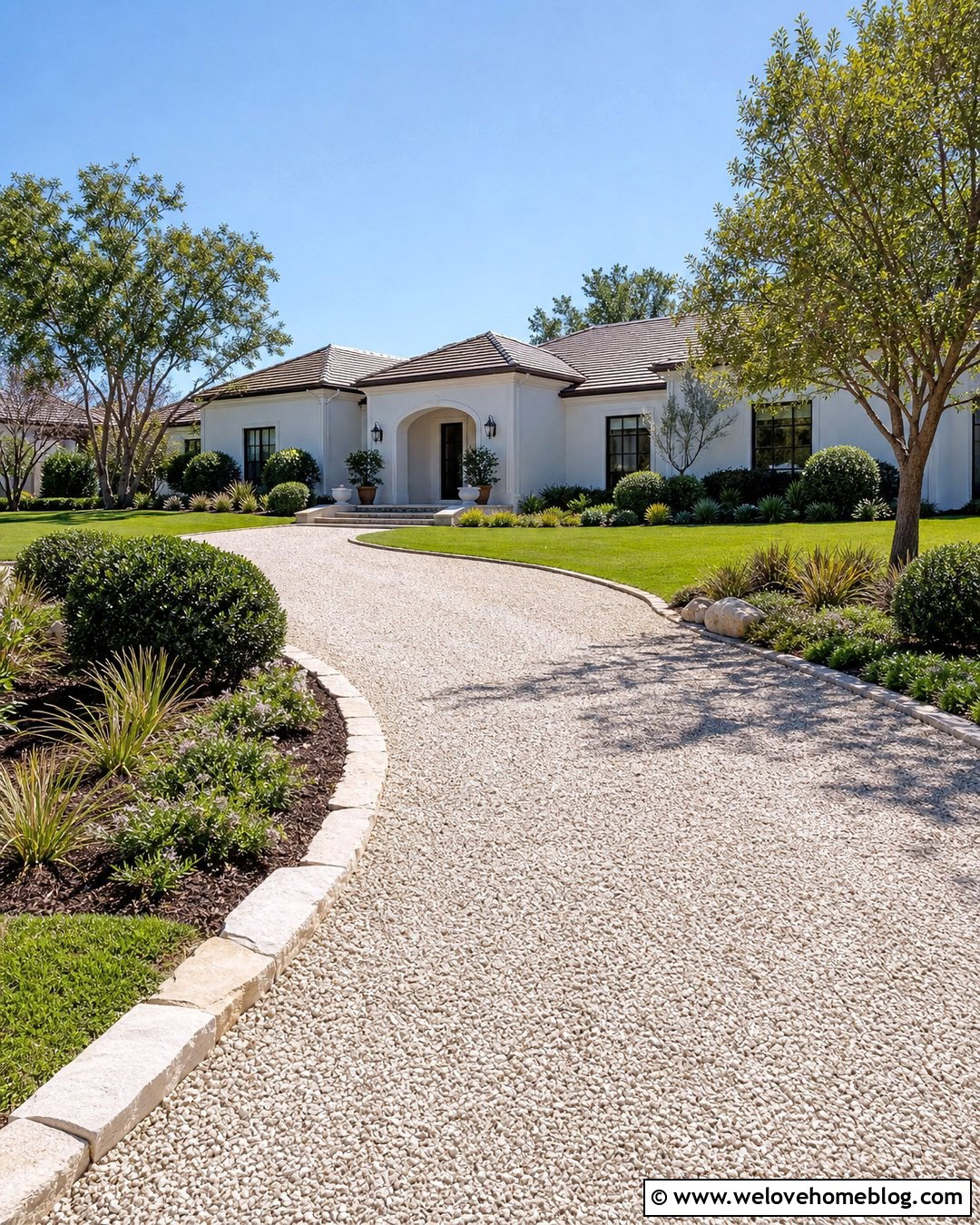 Dwarf Yaupon Holly Along a Gravel Driveway - 20 shrubs to line driveway ideas