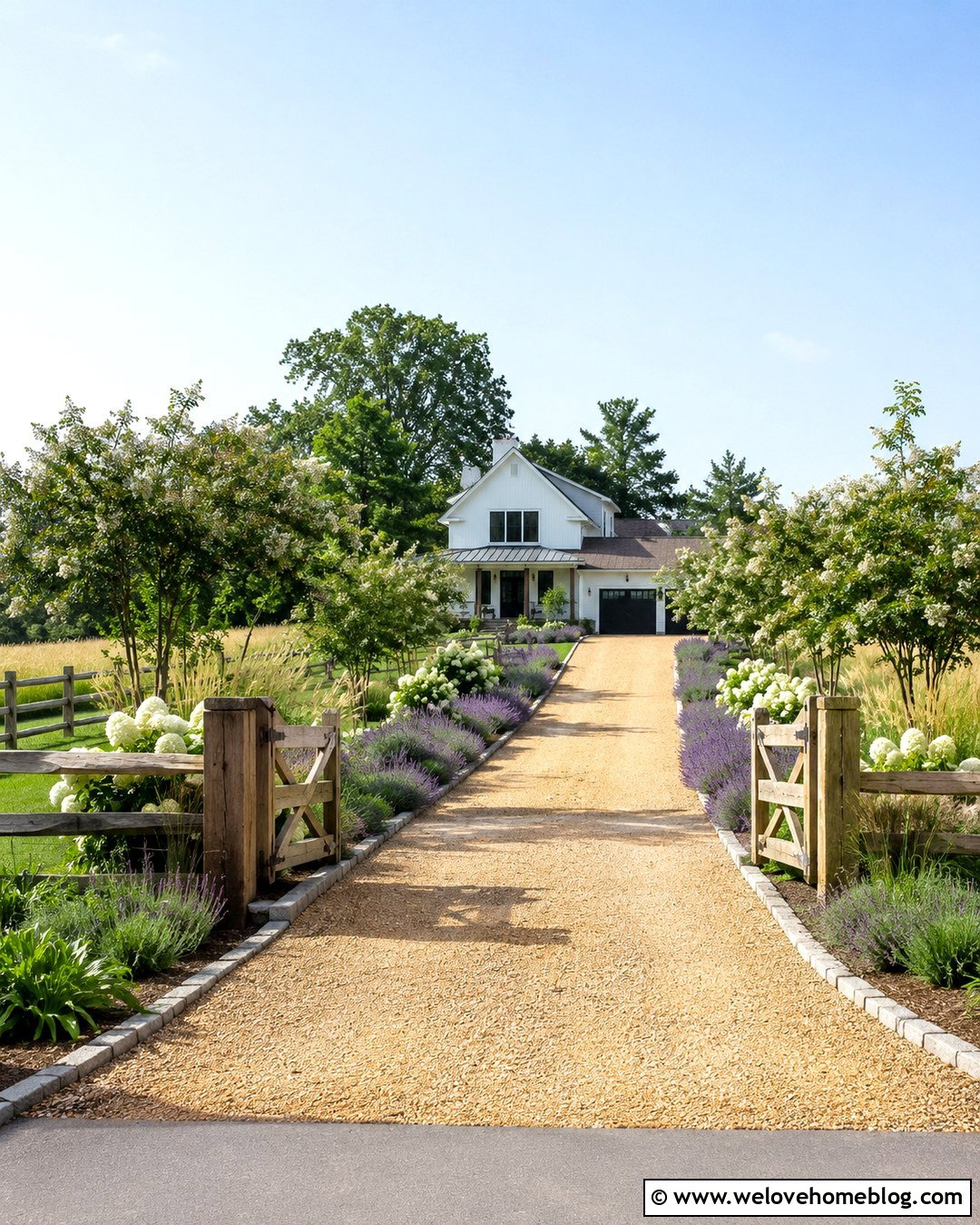 Farmhouse Driveway With Lavender Border - 20 lavender driveway border ideas