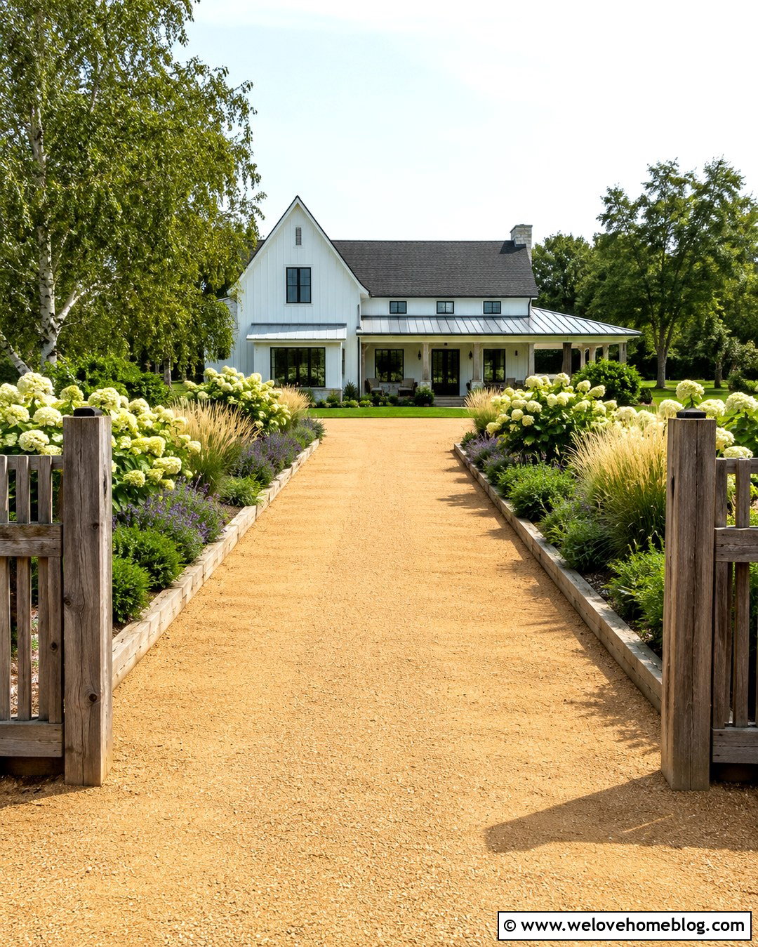 Farmhouse Driveway With Panicle Hydrangeas - 20 Driveway Lined With Hydrangeas Ideas