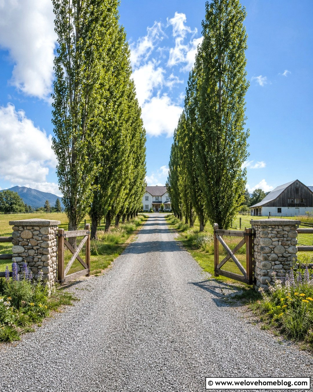 Farmhouse Driveway With Poplar Trees - 20 Summer Tree-Lined Driveway Ideas