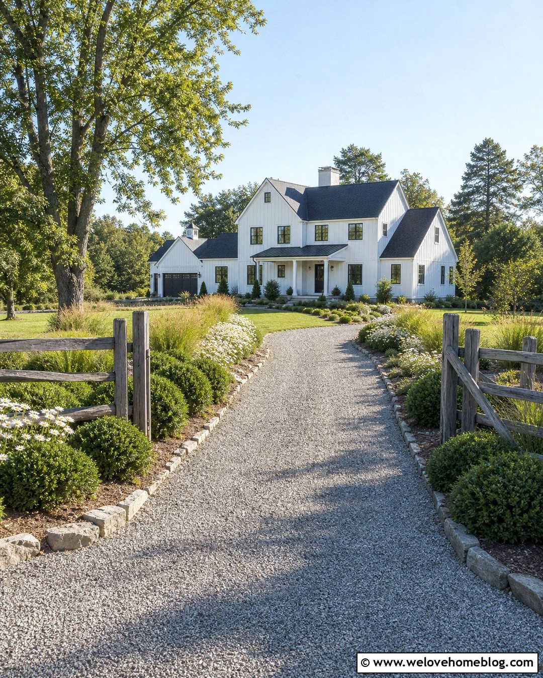 Farmhouse Gravel Driveway With Loose Boxwood Borders - 20 boxwoods along driveway ideas