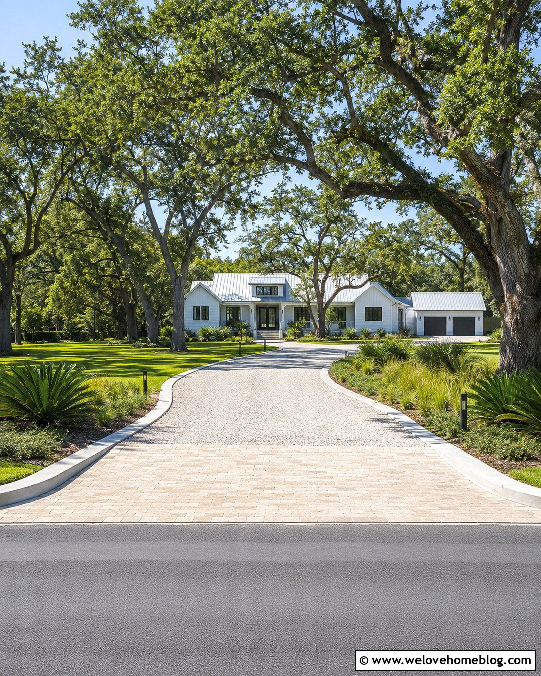 Florida Long Driveway With Trees - 20 florida driveway ideas