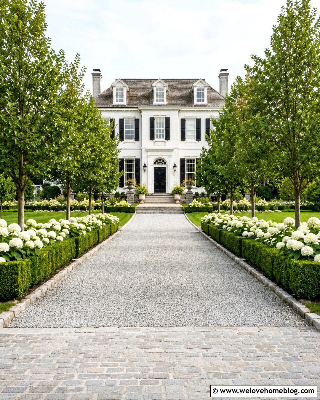 Formal Gravel Driveway With Hydrangeas - 20 Driveway Lined With Hydrangeas Ideas