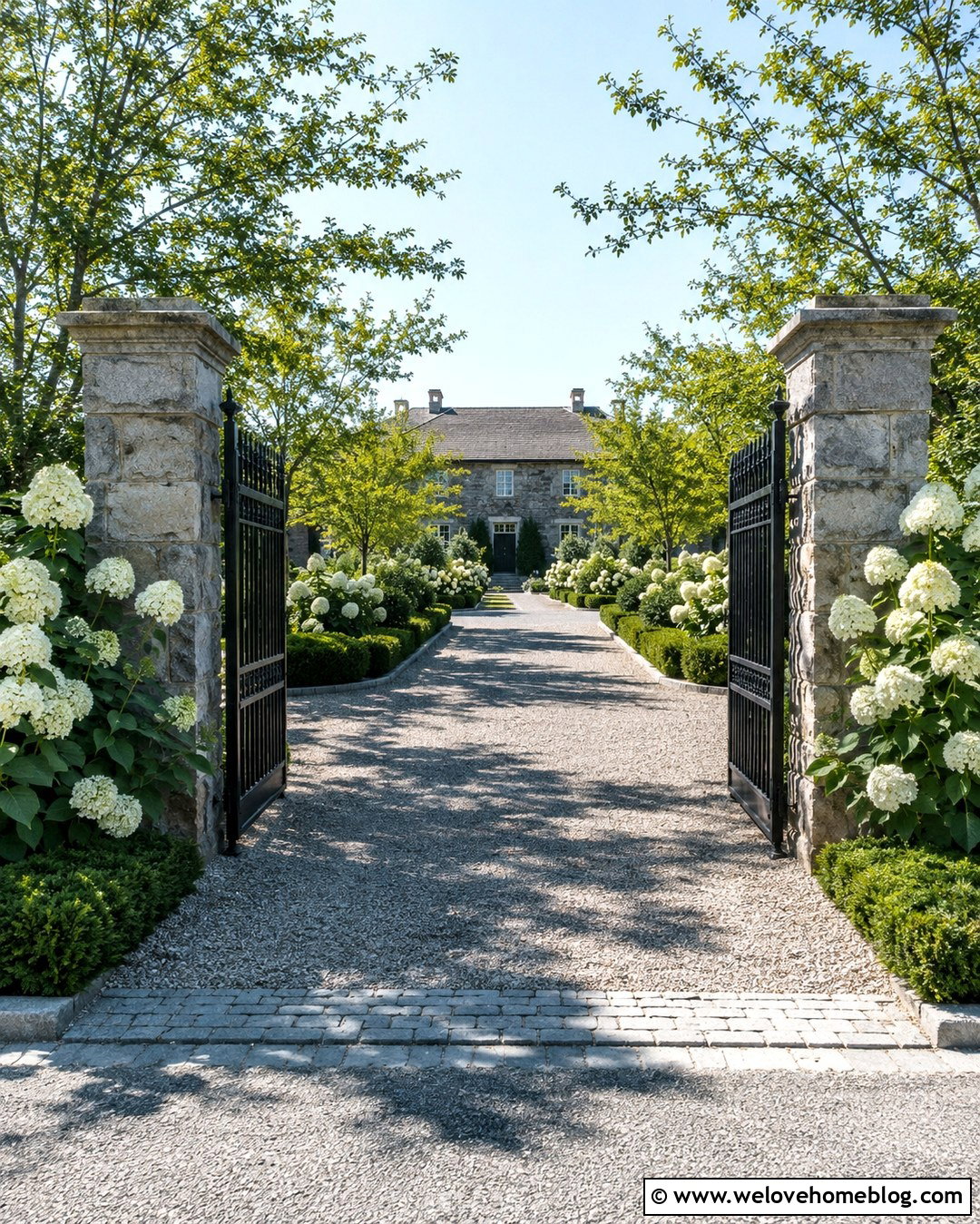 Gated Driveway With White Hydrangeas - 20 Driveway Lined With Hydrangeas Ideas