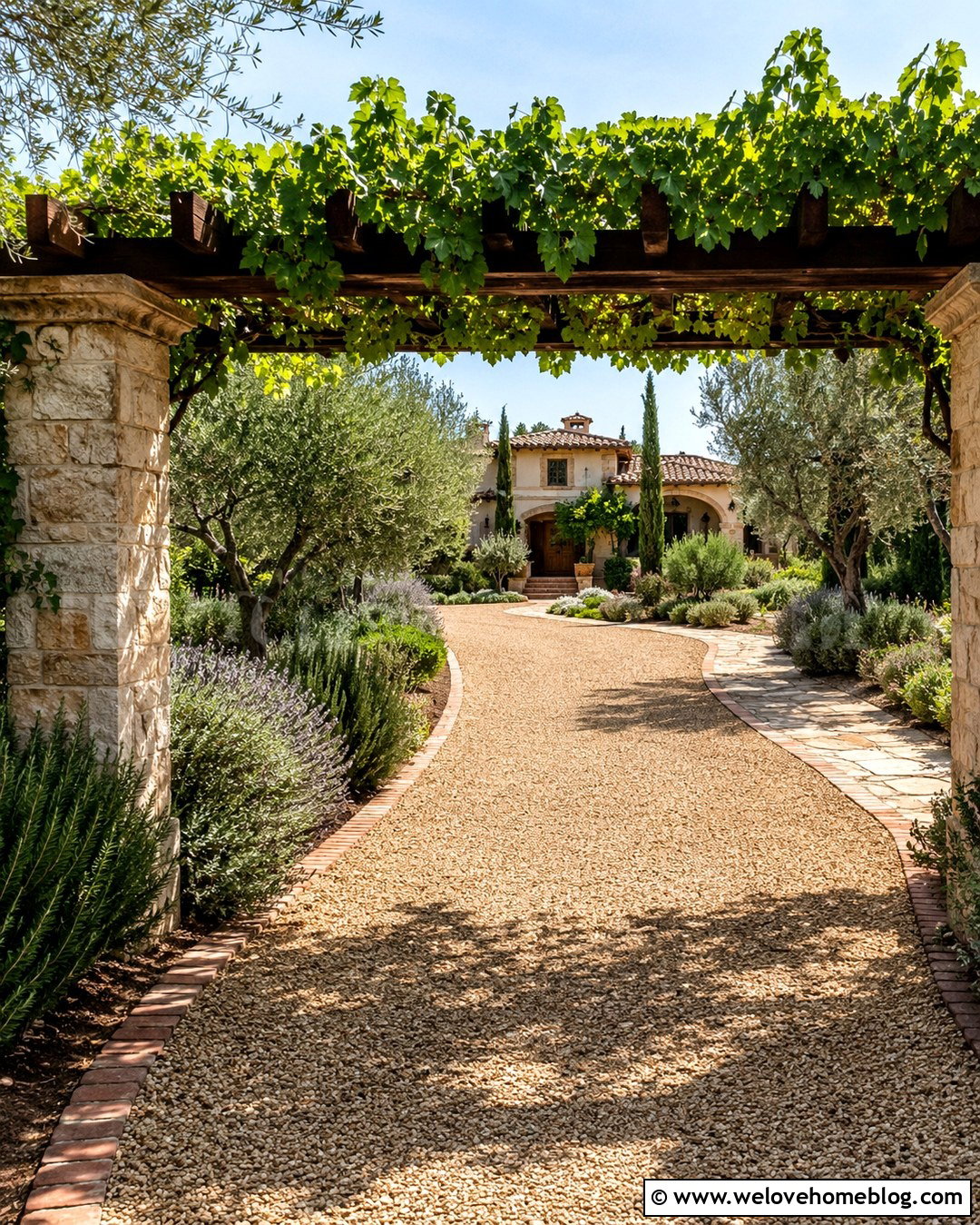 Grapevine Trellis Over Pea Gravel Driveway - 20 Trellis Over Driveway Ideas
