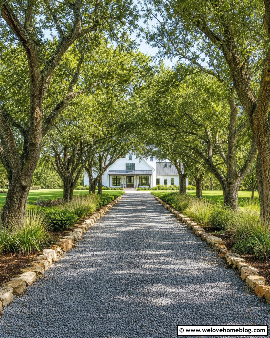 25 Driveway Lined With Trees Ideas for a Grand Entrance