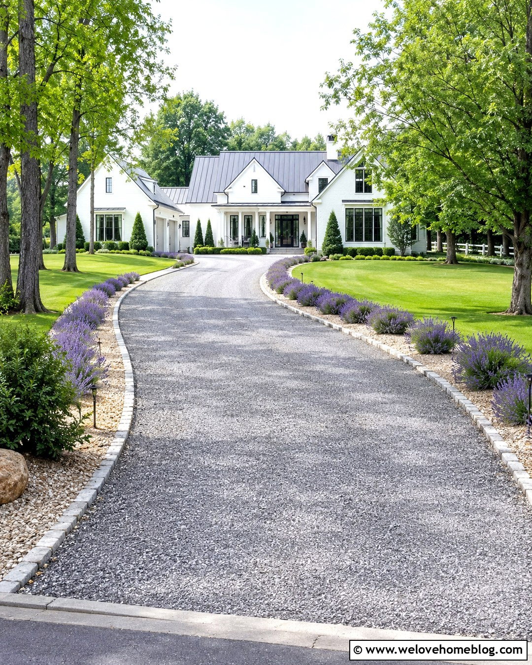 Gravel Driveway Strip With Lavender - 20 driveway strip landscaping ideas