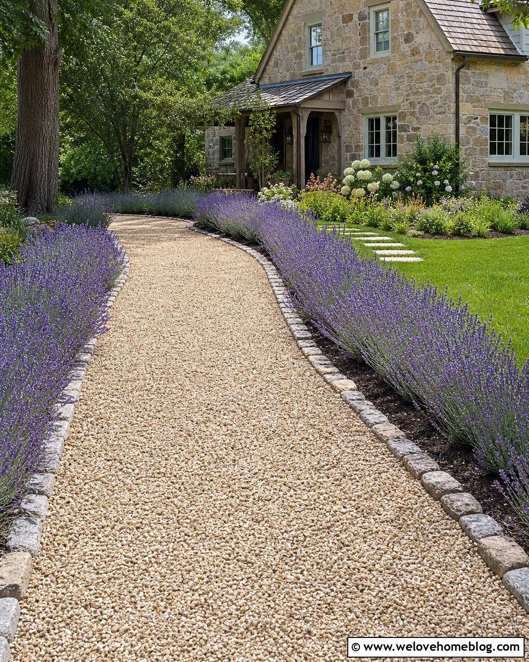 Gravel Driveway With Lavender Borders - 20 along driveway landscaping ideas