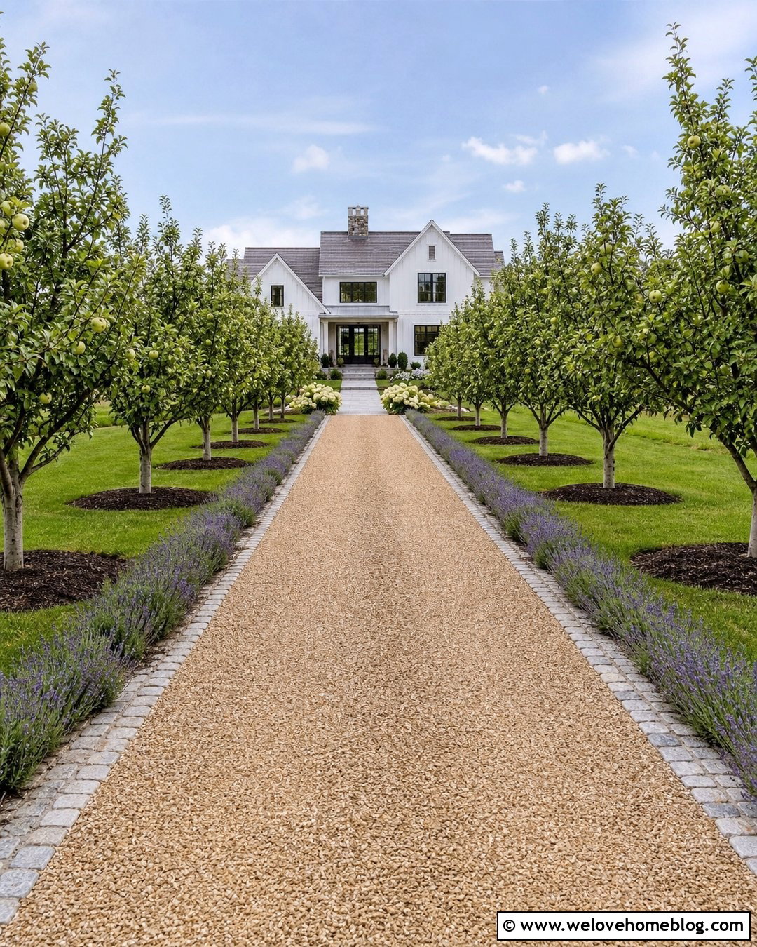 Gravel Orchard Driveway With Apple Trees - 20 Orchard Driveway Ideas