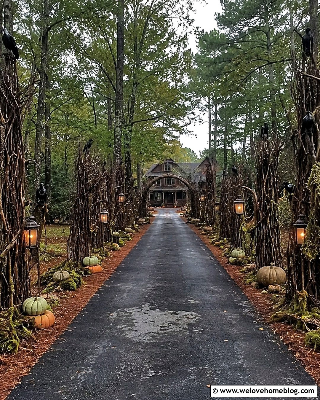 Haunted House Driveway Haunted Forest - 20 Driveway Haunted House Ideas