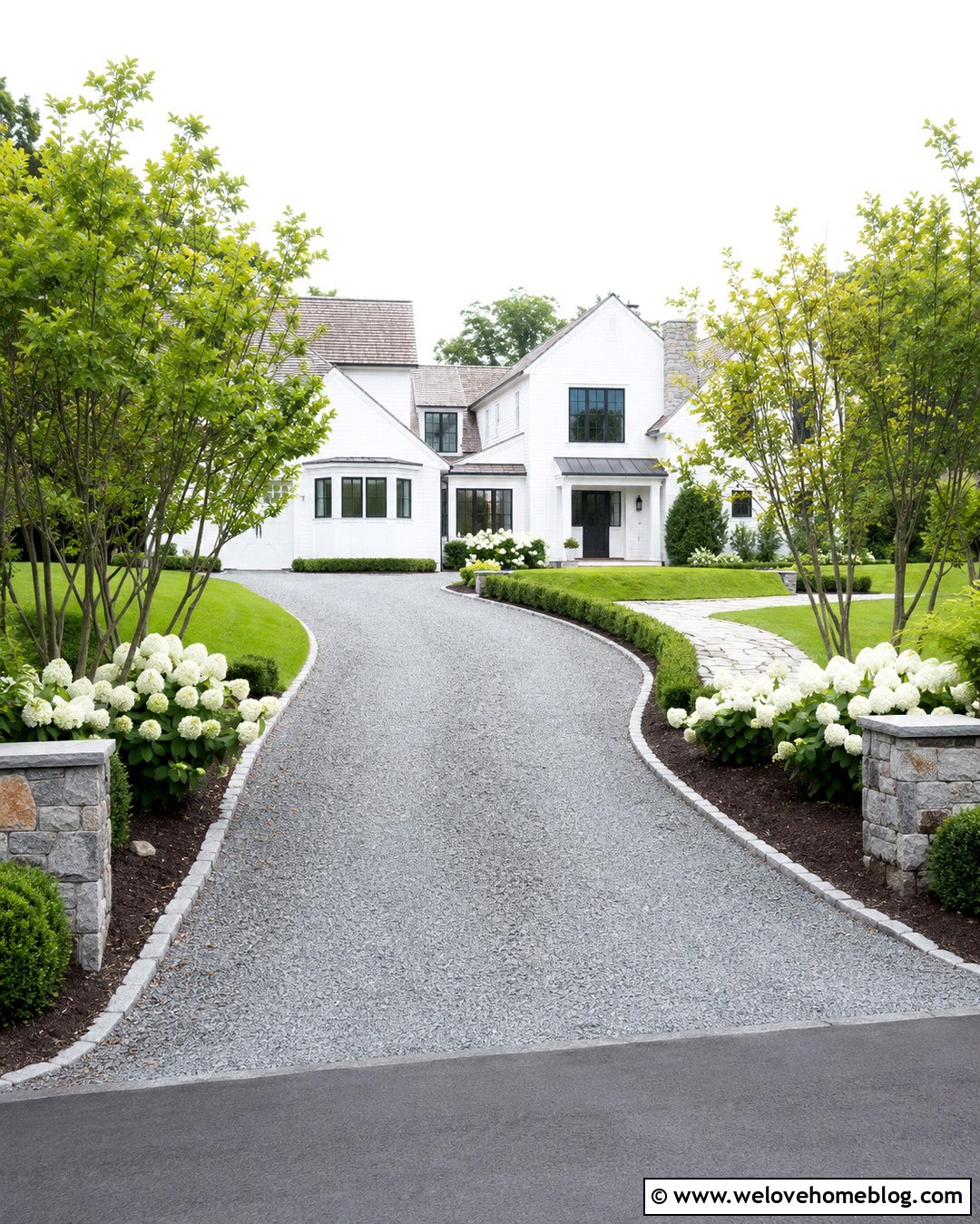 Hedge And Hydrangea Lined Gravel Driveway - 20 Plant Lined Driveway Ideas