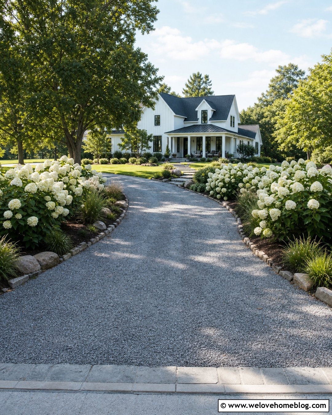 Hydrangea Bushes Lining a Curved Gravel Driveway - 20 bushes lining driveway ideas