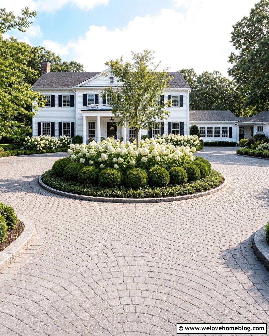 20 Hydrangeas Driveway Ideas for a Colorful, Elegant Entrance