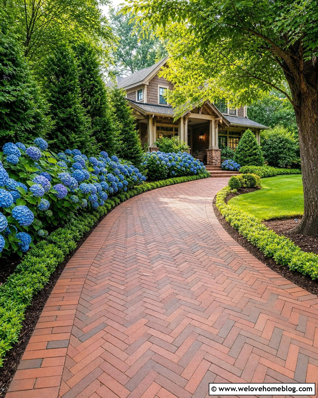 Hydrangea Lined Brick Driveway - 20 lining driveway with plants ideas