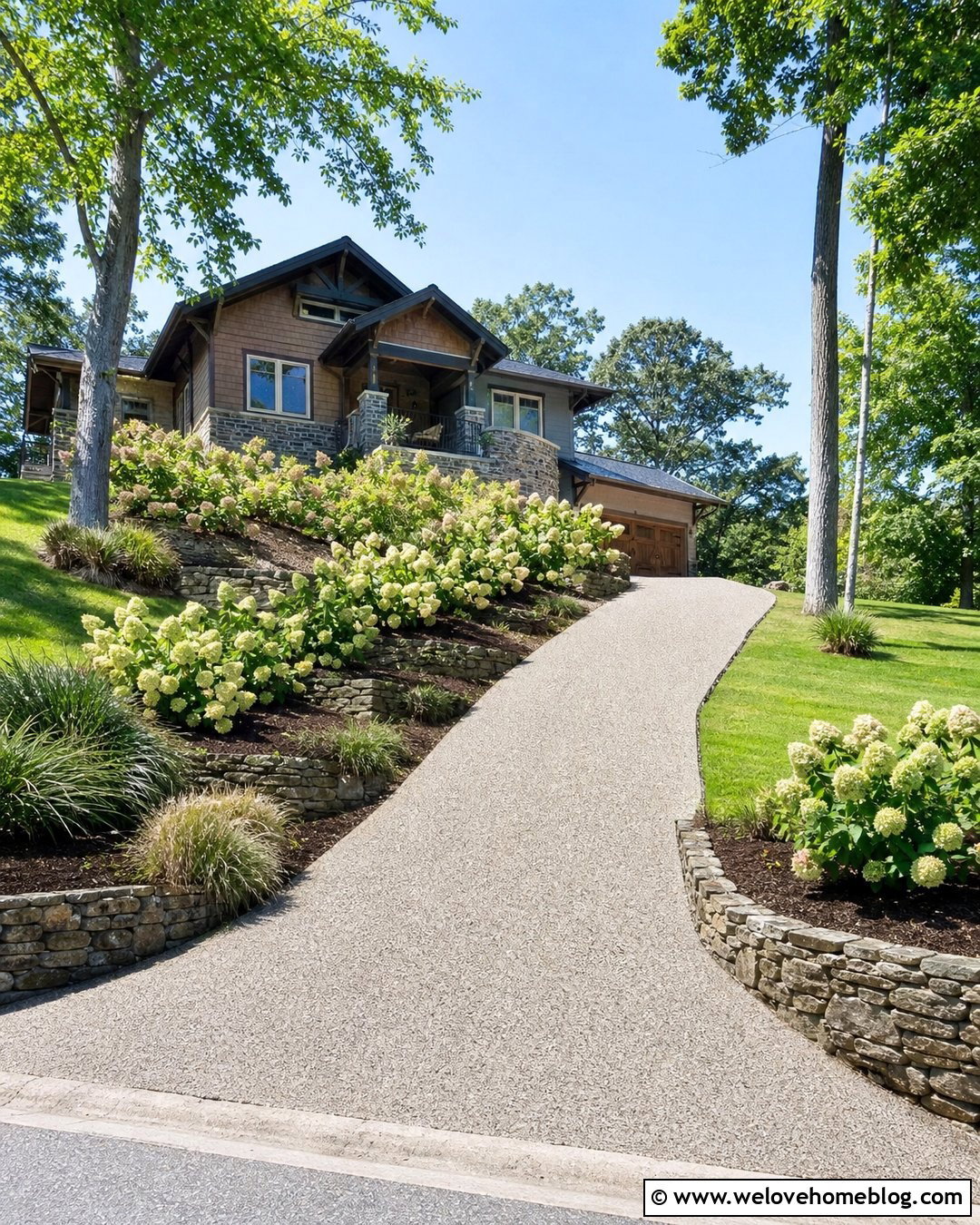 Hydrangeas Along a Sloped Driveway - 20 Hydrangeas Along Driveway Ideas