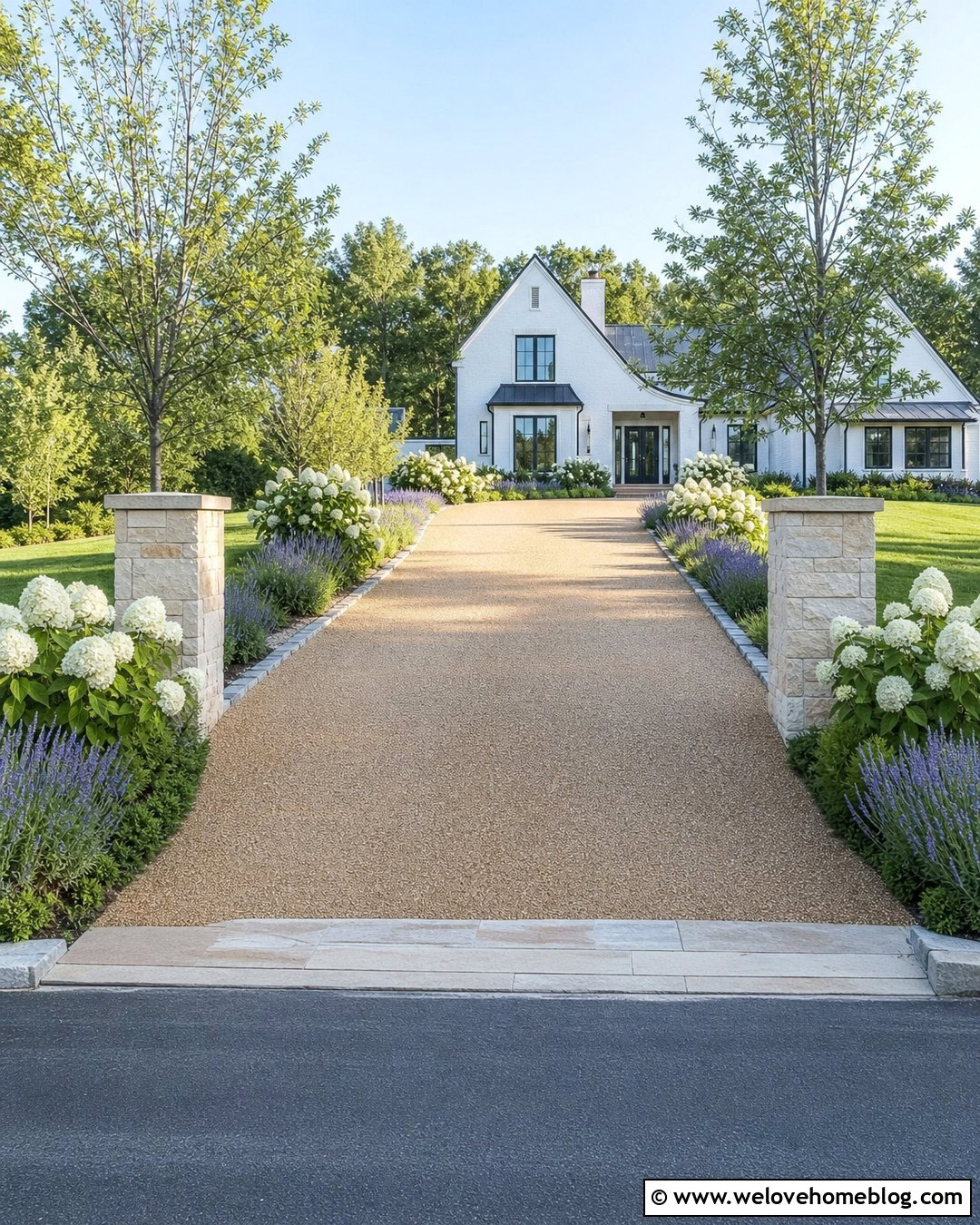 Hydrangeas Around a Driveway Entrance - 20 Hydrangeas Along Driveway Ideas
