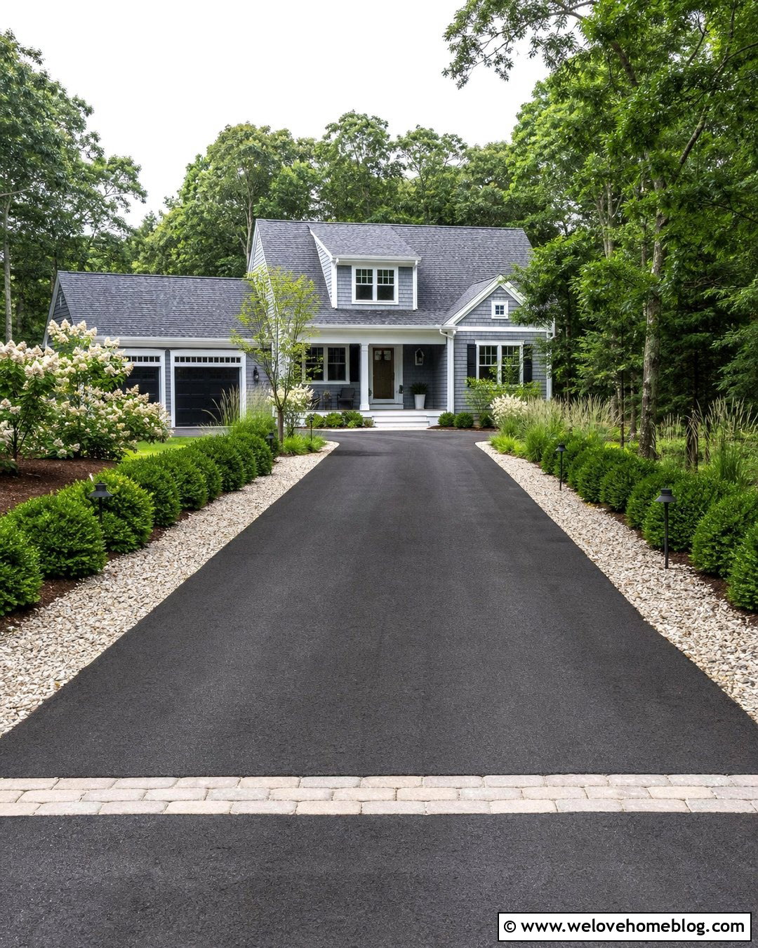 Inkberry Holly Bushes Lining an Asphalt Driveway - 20 bushes lining driveway ideas