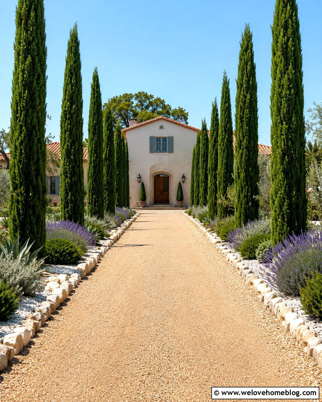 Italian Cypress Gravel Driveway - 25 trees to line driveway ideas