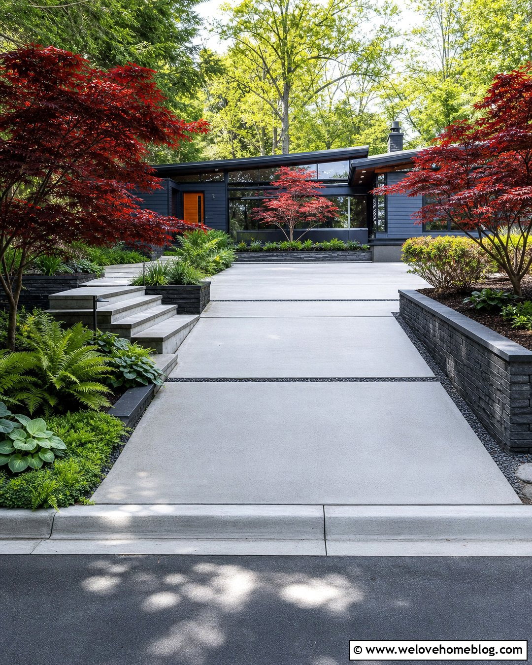Japanese Maple Driveway - 20 Best Driveway Trees Ideas
