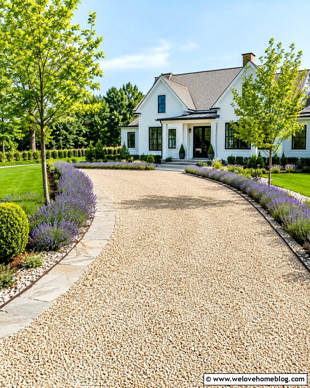 Lavender Border With Pea Gravel Driveway - 20 driveway border plants ideas