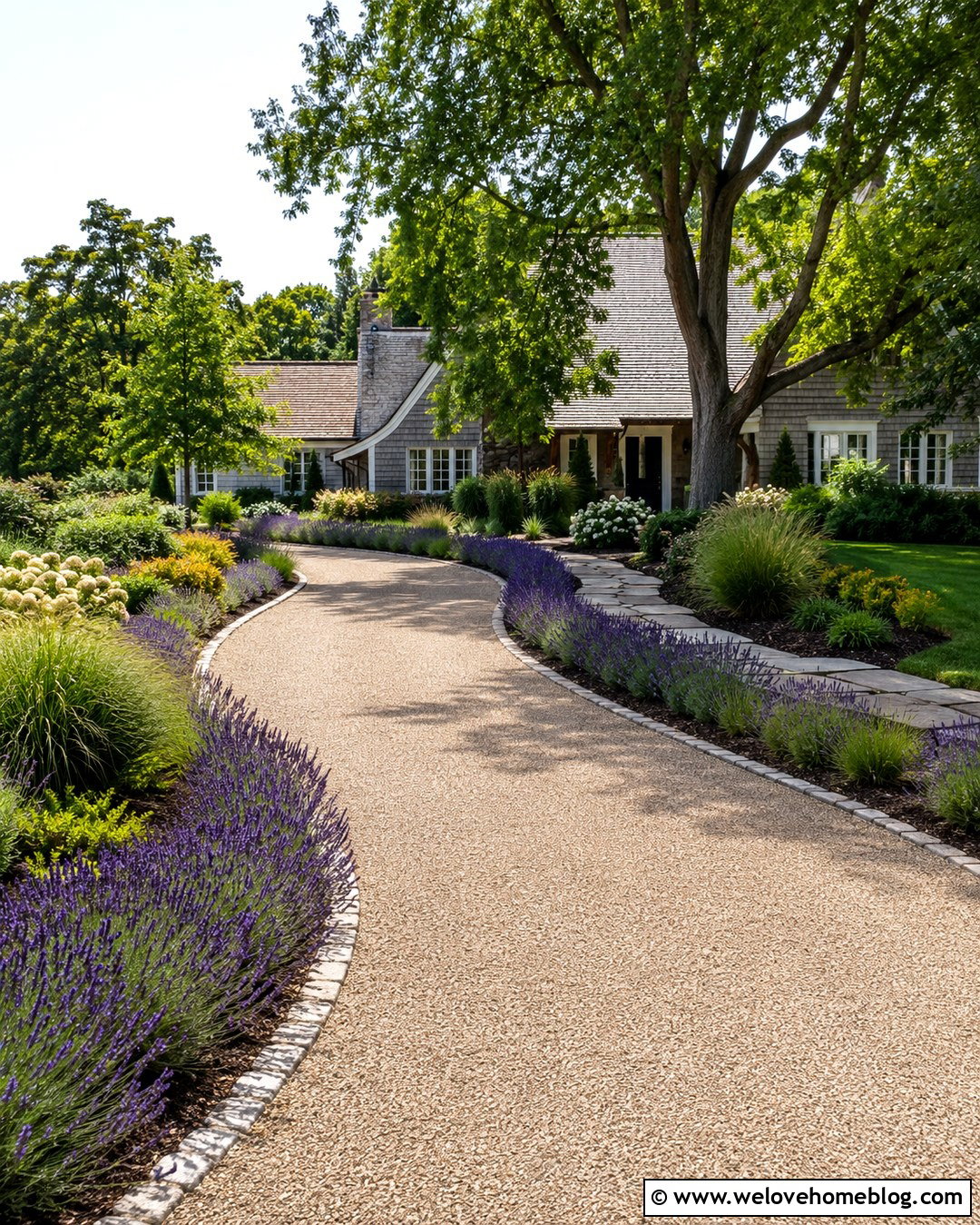 Lavender Lined Gravel Driveway - 20 Plant Lined Driveway Ideas