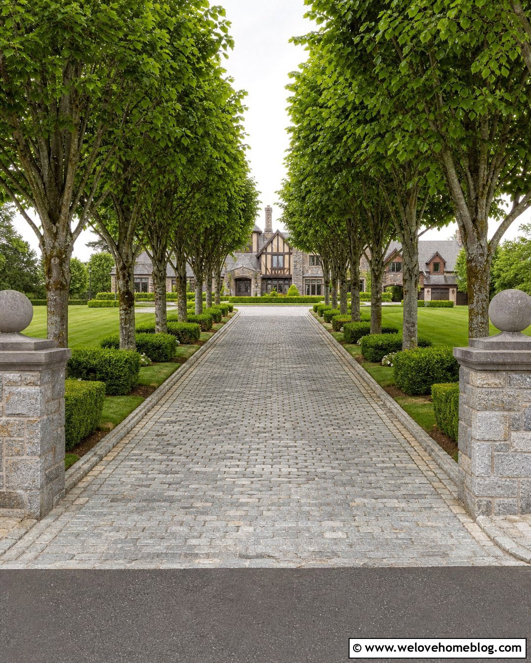 Linden Tree Lined Cobblestone Driveway - 40 Tree Lined Driveway Ideas