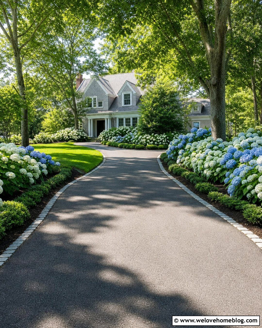 Long Driveway With Hydrangea Borders - 40 Long Driveway Landscaping Ideas